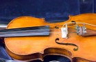 abstract musical background is the violin toned photo